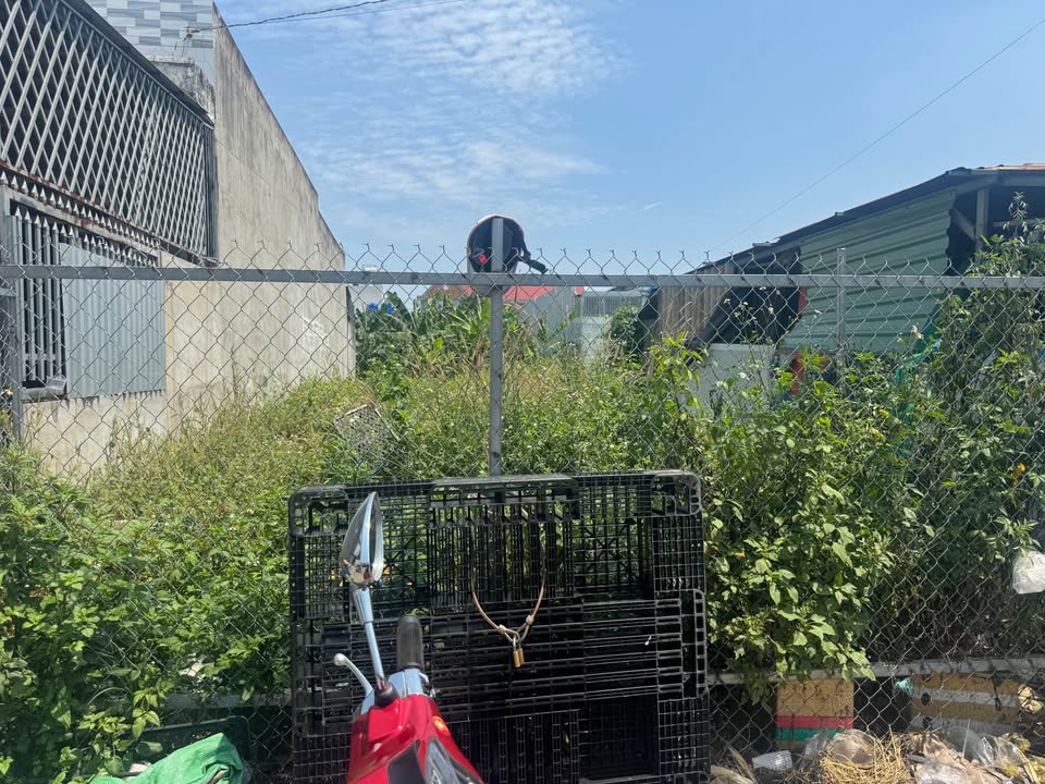 Đất nền Đức Hòa Hạ 125m² 5.5 tỷ - Sổ đỏ chính chủ