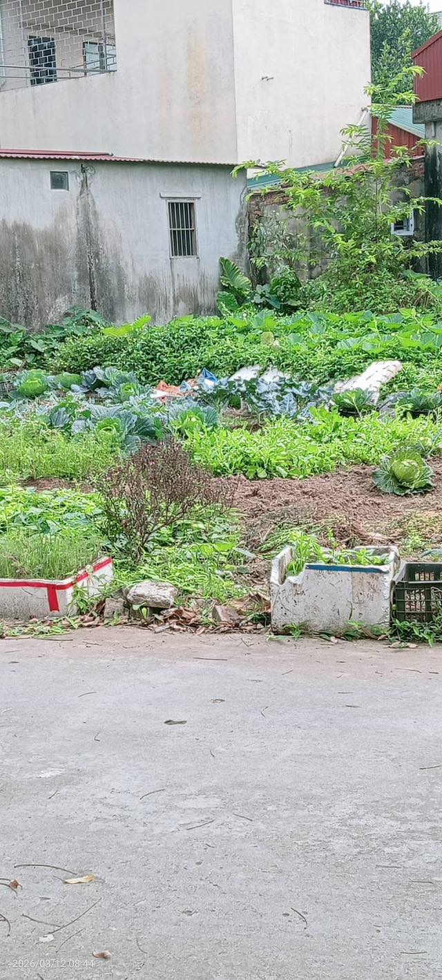 Đất thổ cư Cẩm La – Nam Sách 101m² 1 tỷ+ – Sổ đỏ chính chủ ô tô vào