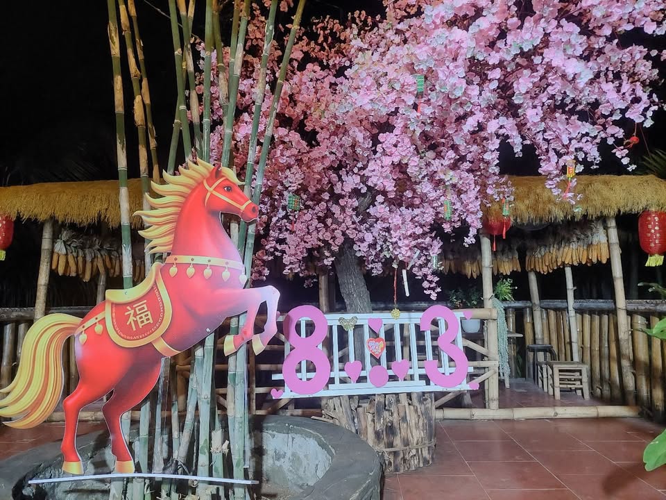 Đất TL1 Buôn Đôn 1.200m² 2,3 tỷ - Sổ đỏ chính chủ