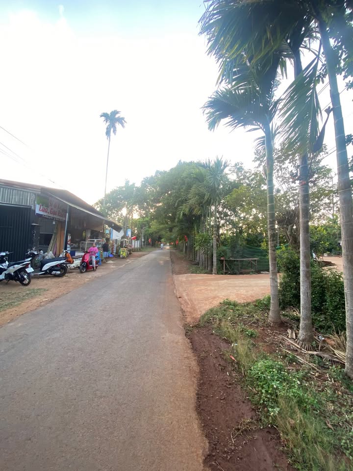 Đất nền Buôn Ma Thuột 350m² 3 tỷ - Sổ đỏ chính chủ