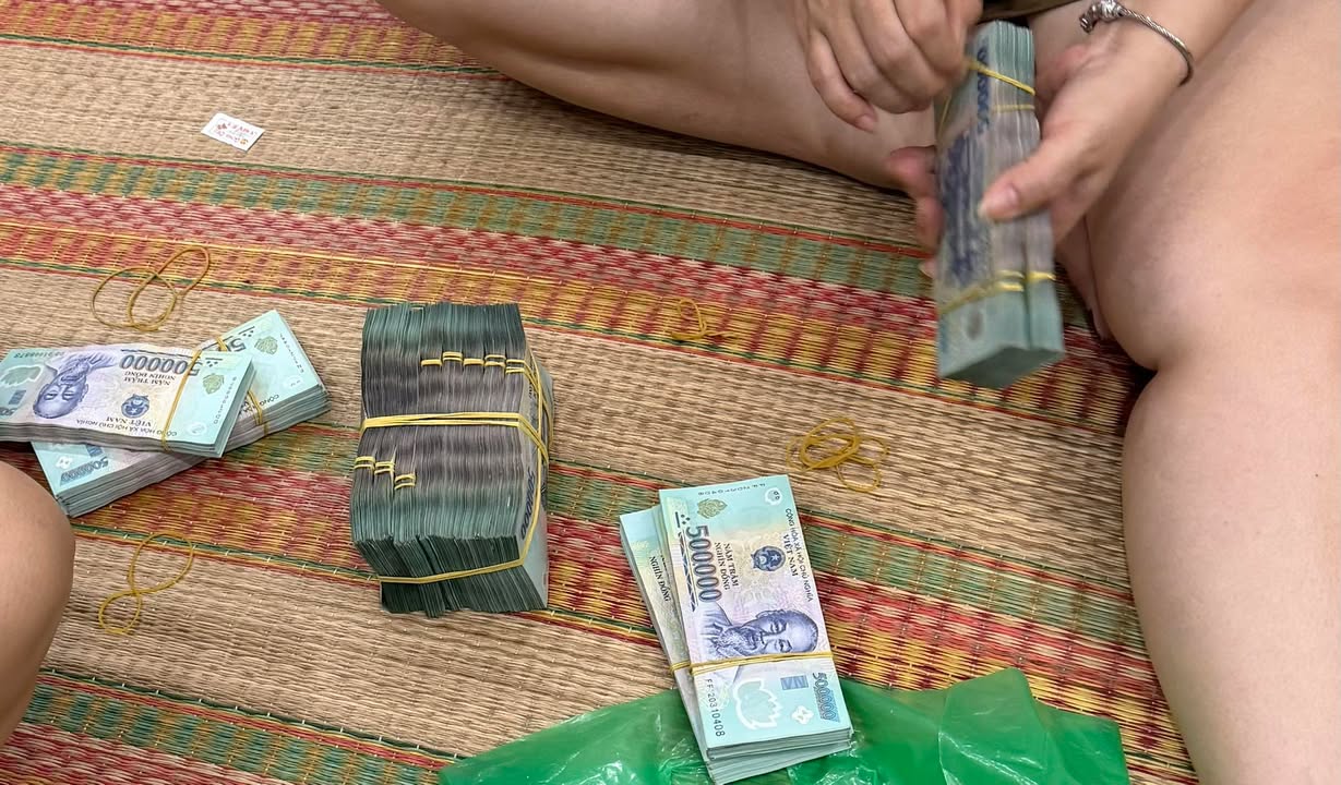 Đất nền Minh Thạnh Quận 12 8.100m² - Sổ đỏ chính chủ