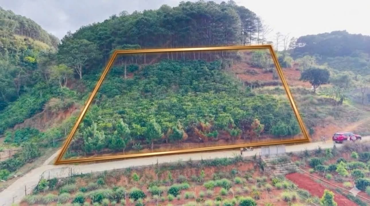 Đất nền Nam Ban 500m² giá hơn 1 tỷ - Sổ đỏ chính chủ