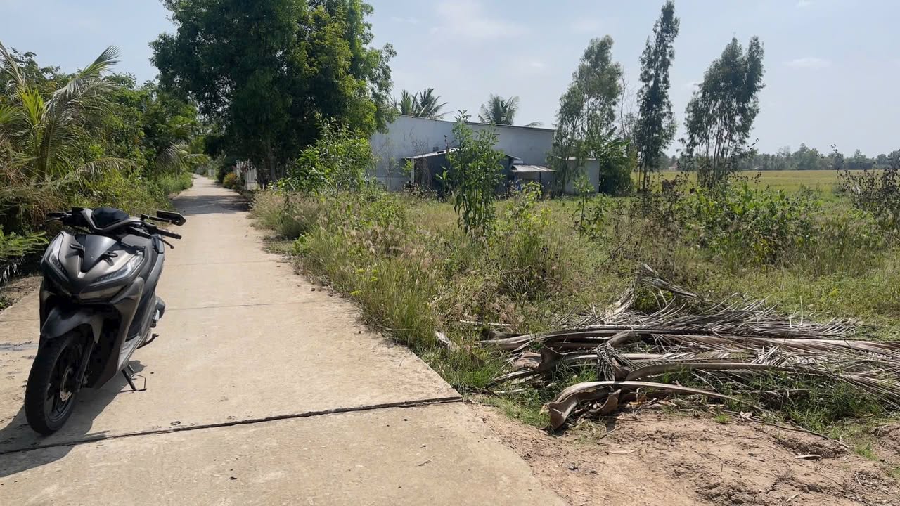 Đất nền Trần Đề 310m² 399 triệu - Sổ đỏ chính chủ