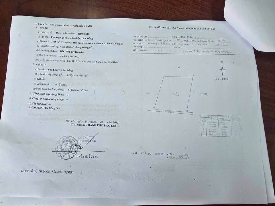 Đất cà phê Bảo Lộc 2.900m² giá 6,04 tỷ - Tiềm năng tăng giá