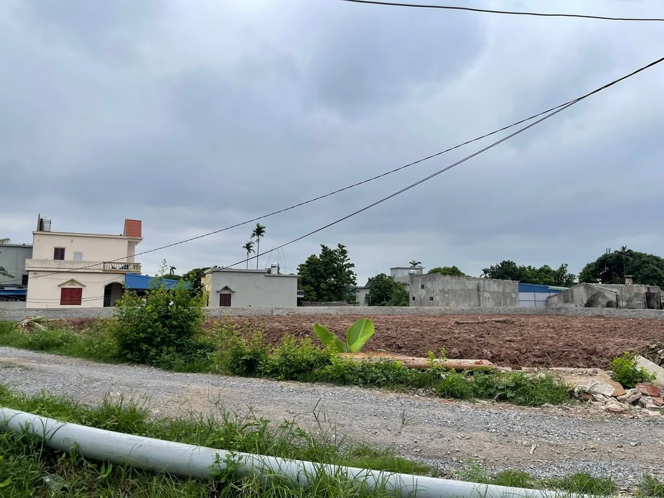 Đất Mỹ Tân Nam Định 750m² thỏa thuận - Sổ đỏ chính chủ