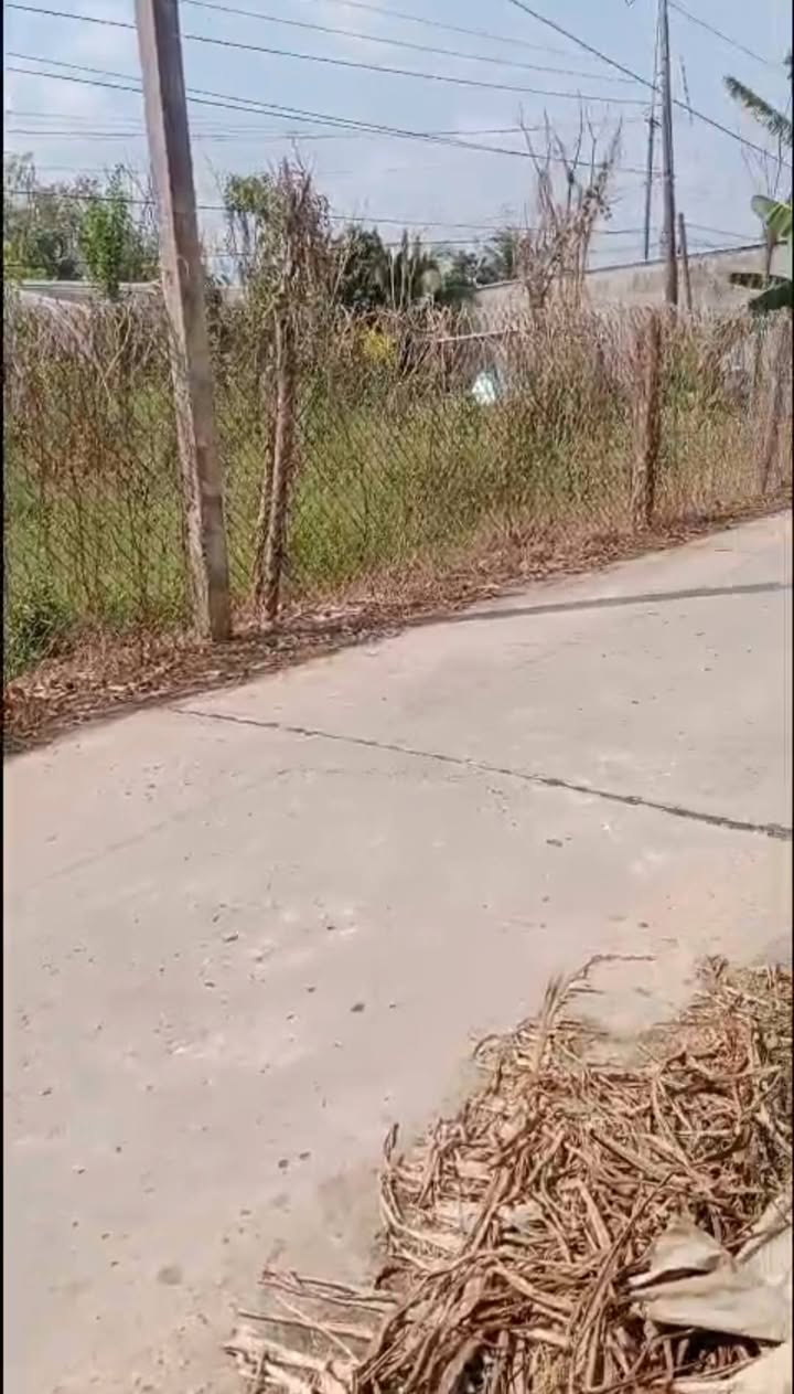 Đất nền Long An Long Hồ 900m² - Đường to ô tô