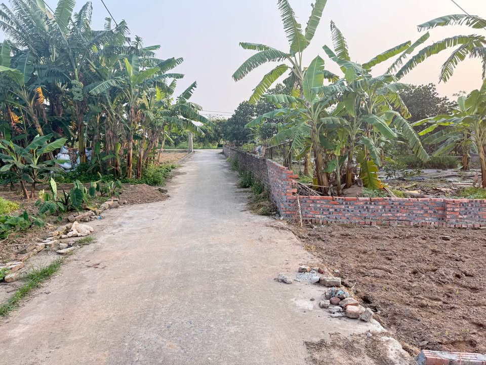 Đất nền Nhất Trai Trung Chính 101m² giá từ 1 tỷ - Sổ đỏ chính chủ