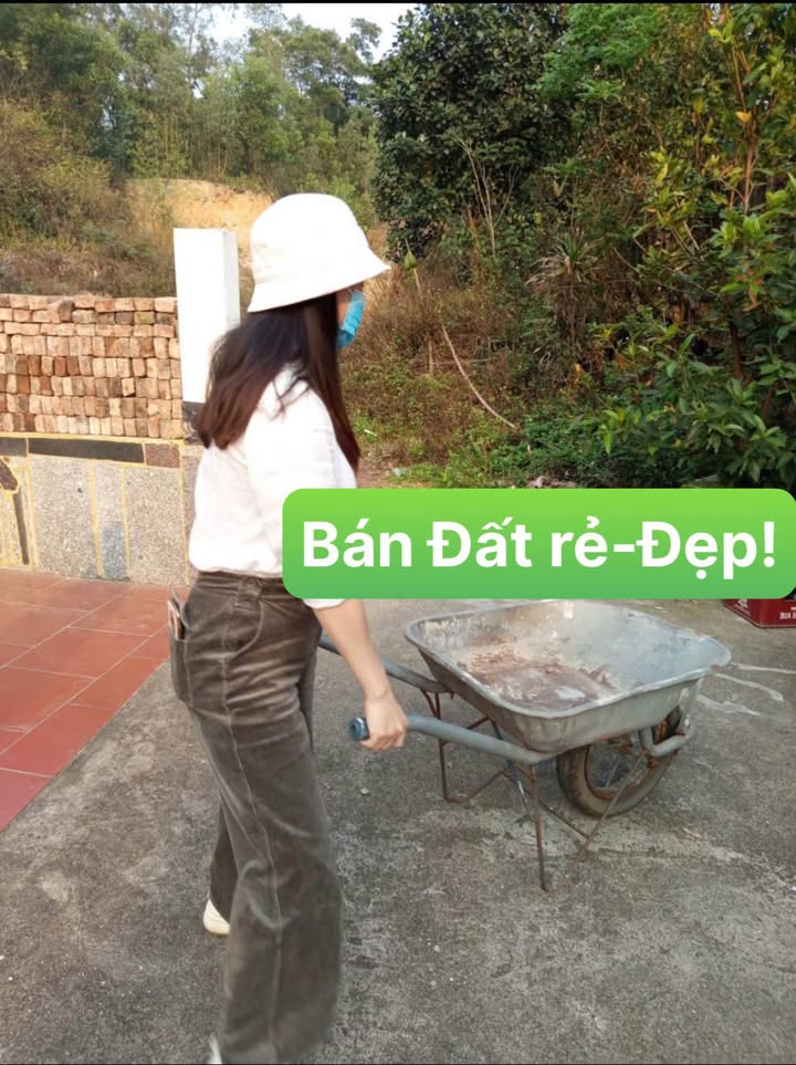 Đất nền Thuận Thành 120m² 1.2 tỷ - Sổ đỏ chính chủ