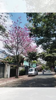 Đất nền Nguyễn Thị Định Vũng Tàu 90m² 8,5 tỷ - Sổ đỏ chính chủ