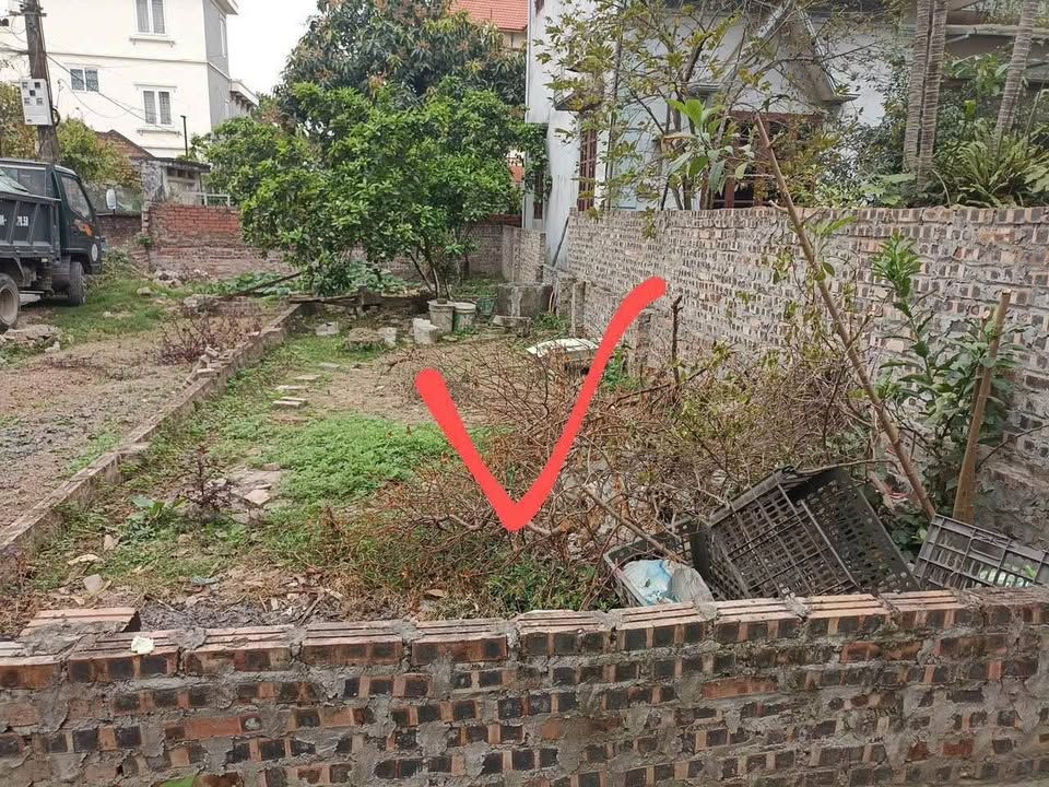 Đất nền Mai Lâm Đông Anh 42m² giá 4 tỷ - Sổ đỏ chính chủ