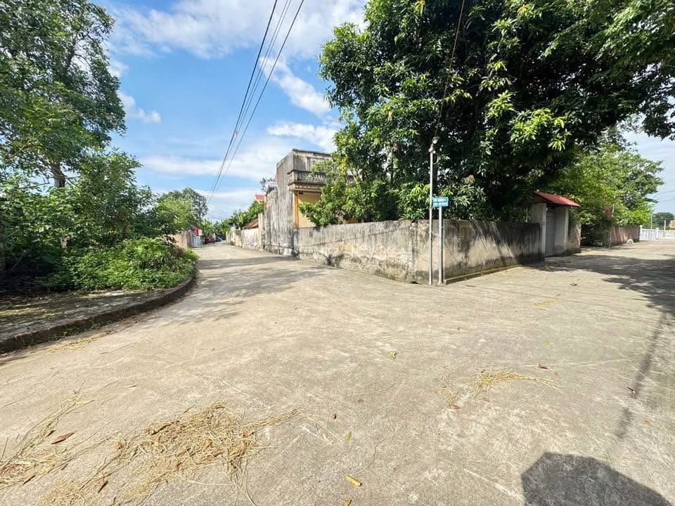 Đất nền Tân Minh Sóc Sơn 83m² - Đường ô tô tránh 10m