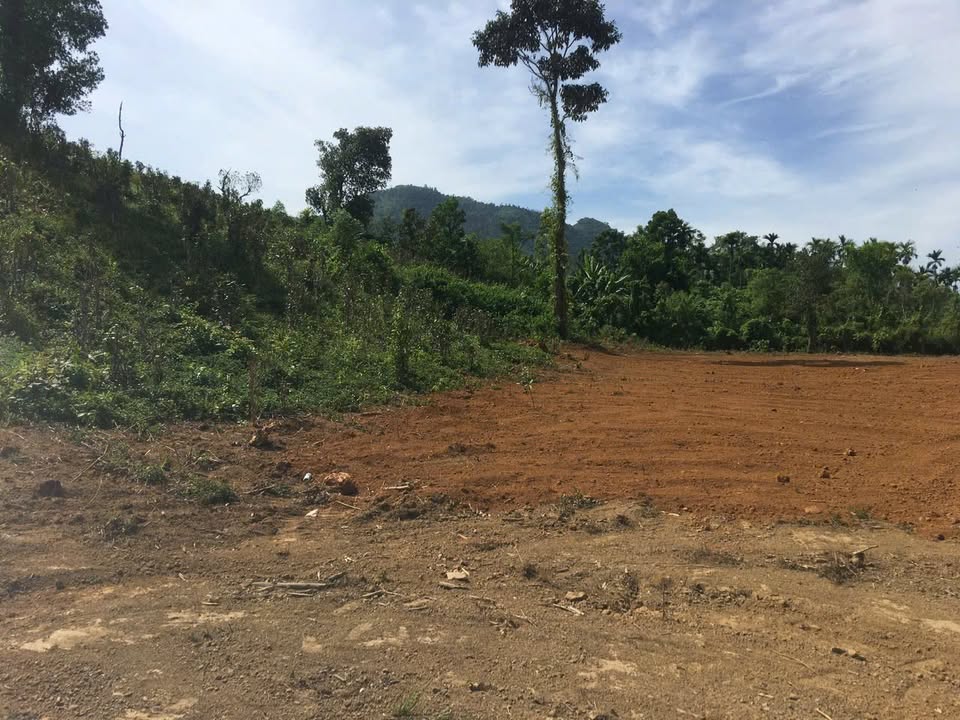 Đất vườn Hòa Ninh Đà Nẵng 6.700m² 9 triệu - Sinh thái xanh