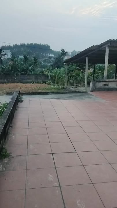 Đất nền Tân Thanh 1200m² thỏa thuận - Sổ đỏ chính chủ