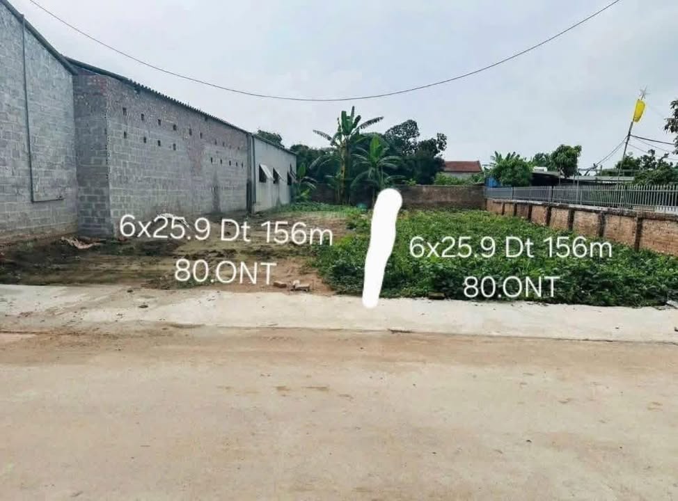 Đất nền Lam Sơn Hưng Yên 156m² 2.7 tỷ - Đường to ô tô
