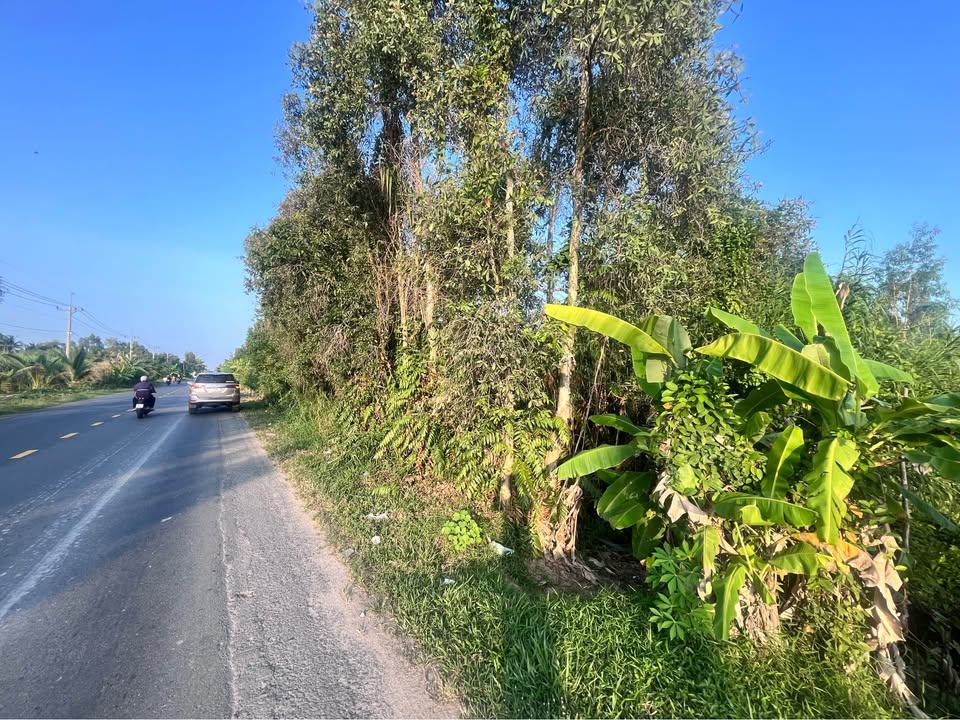 Đất nền Phụng Hiệp 2.600m² 1.7 tỷ - Sổ đỏ chính chủ