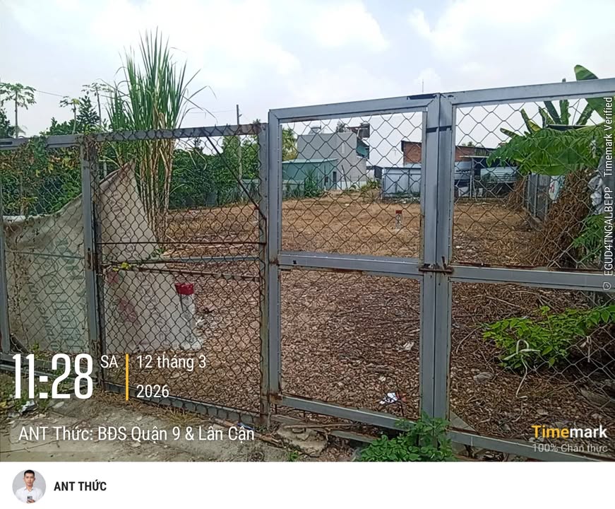 Đất nền Tăng Nhơn Phú A 1.012m²/17 tỷ – Sổ đỏ chính chủ