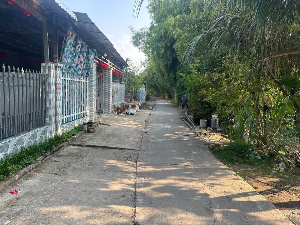 Nhà cấp 4 Bình Thạnh Trung 506m² 1,65 tỷ - Chính chủ