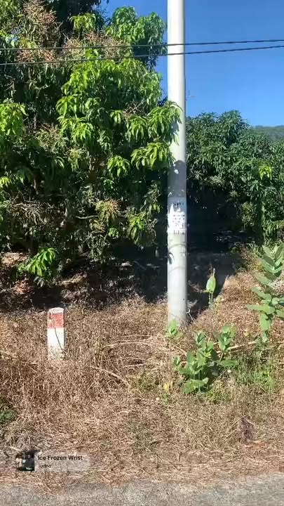 Đất vườn Cam Hiệp Bắc 9522 m² 3.619 tỷ - Sổ hồng chính chủ