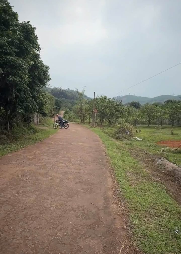 Đất nền Tử Nê Tân Lạc 116m² 2xx triệu - Sổ đỏ chính chủ