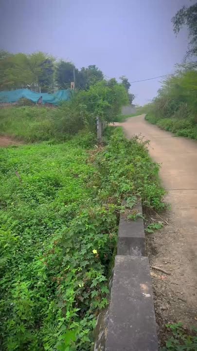 Đất nền Đông Xuân Quốc Oai 6.500m² thỏa thuận - Sổ đỏ