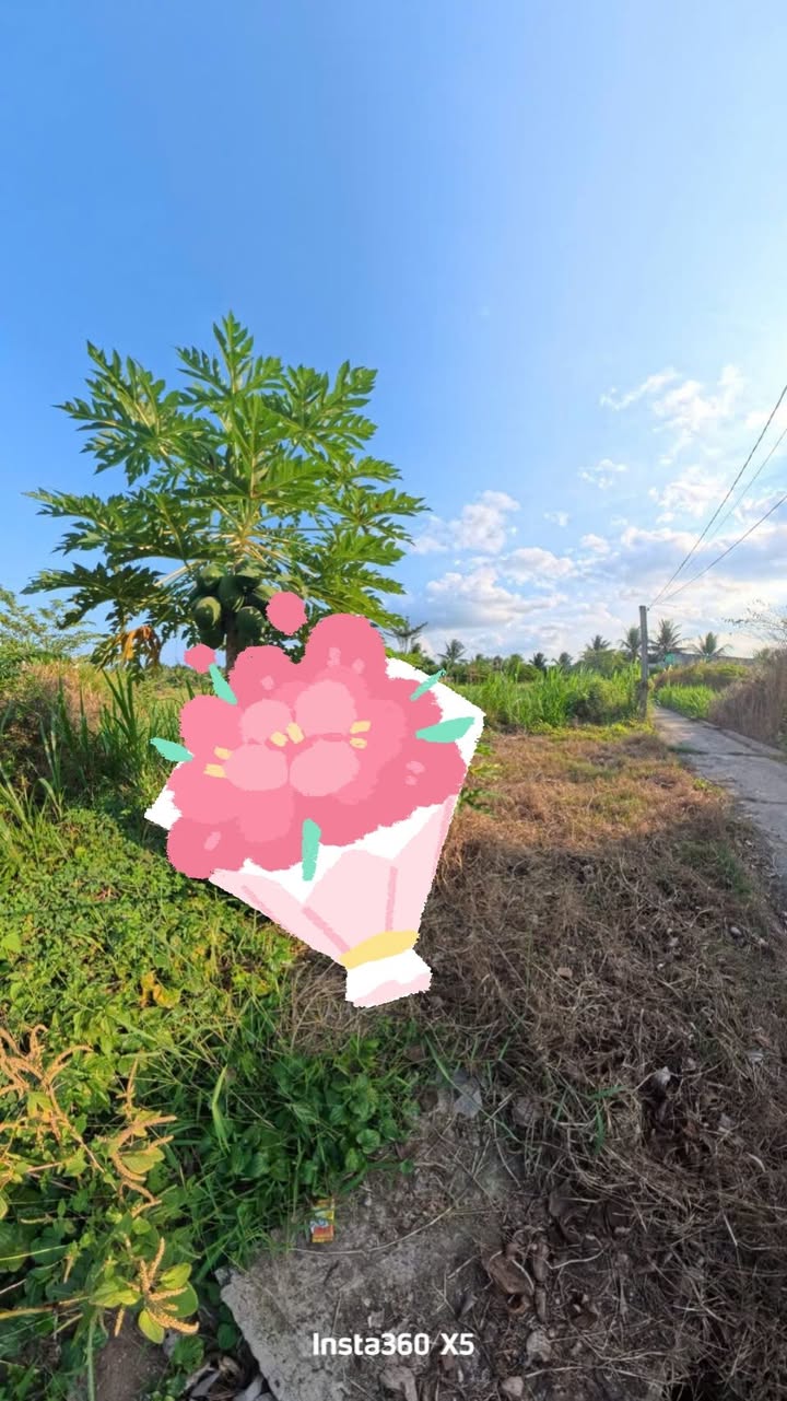 Đất nền Giao Long Bến Tre 100m² 540 triệu - Sổ đỏ chính chủ