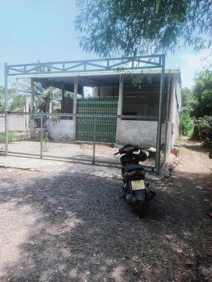 Đất Mỹ Nhơn Ba Tri 1.555m² 800 triệu - Sổ đỏ chính chủ