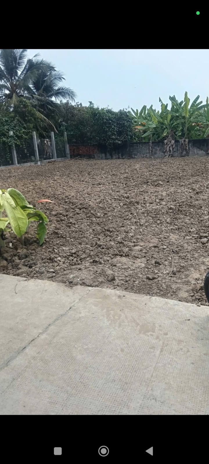 Đất nền Bình Đông Gò Công Đông 100m² 450-550 triệu - Sổ đỏ chính chủ