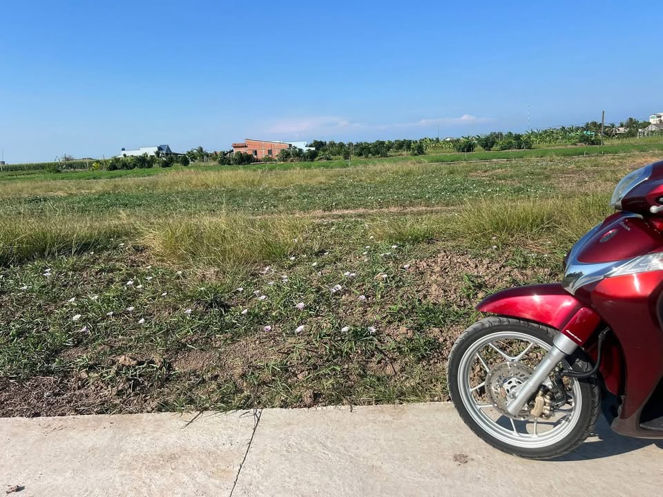 Đất Tân Điền Gò Công Đông 162m² giá 2xx triệu - Sổ đỏ chính chủ