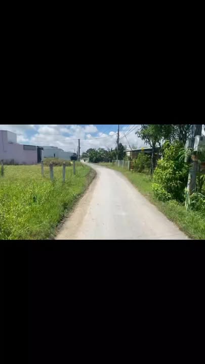 Đất nền Tân Tây Gò Công Đông 1.000m² 350 triệu - Hạ tầng hoàn thiện