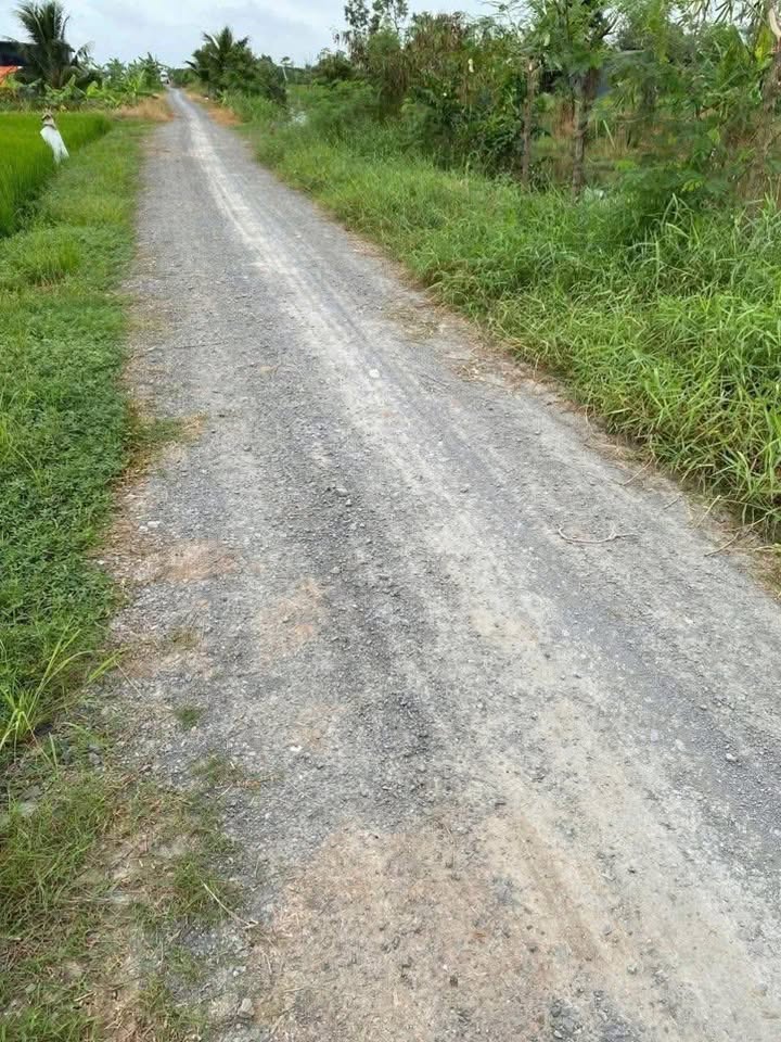 Đất nền Gia Thuận 185m² 250 triệu - Sổ đỏ chính chủ