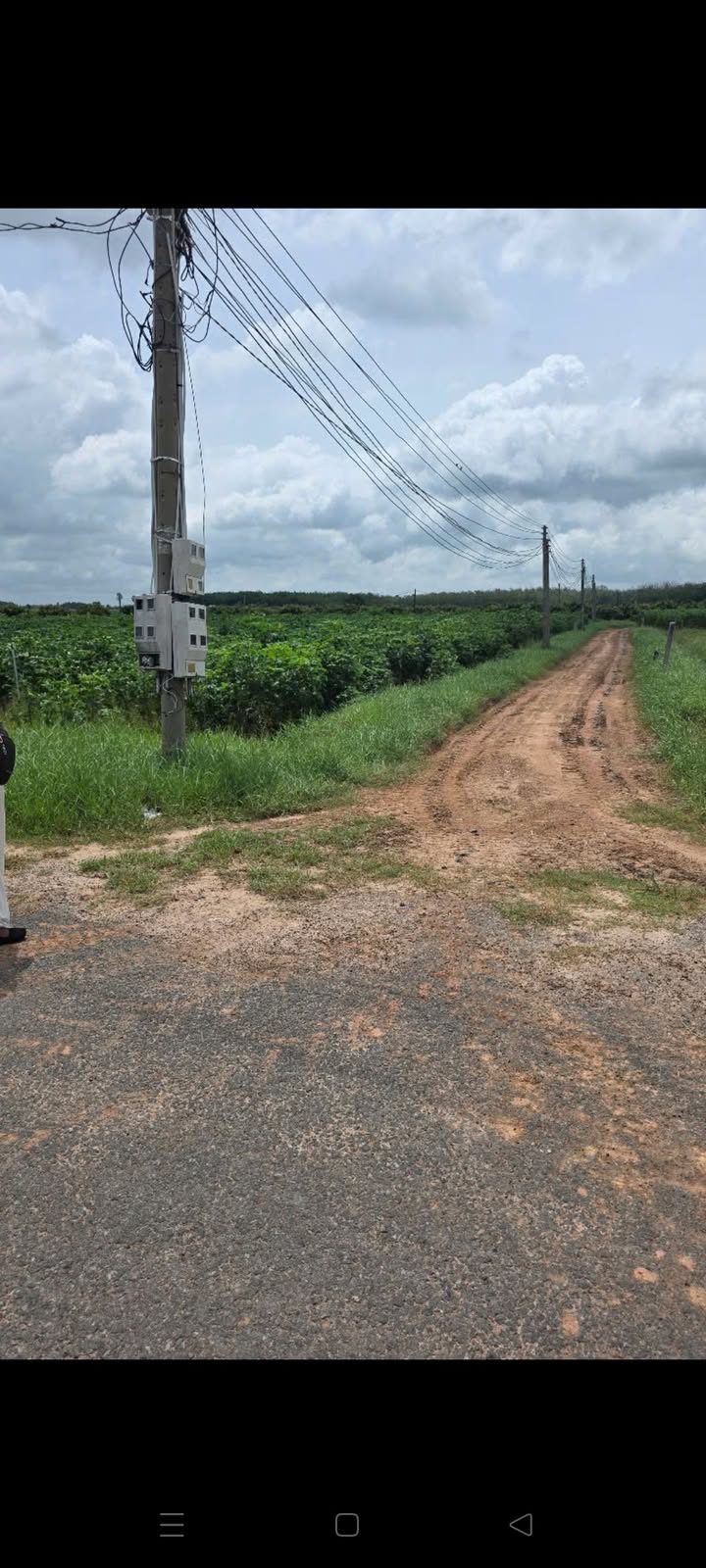 Đất nền Thạnh Tân Tây Ninh 298m² 560 triệu - Sổ đỏ chính chủ