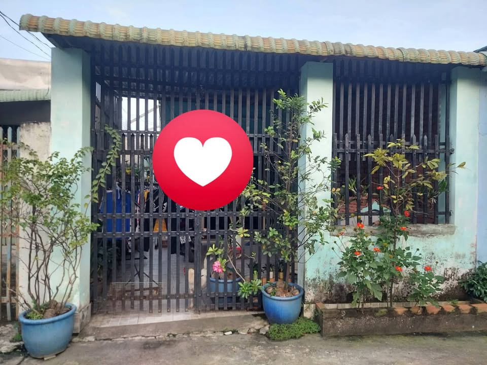 Nhà Tân Triều Thanh Trì 85m² 730tr - Chính chủ bán