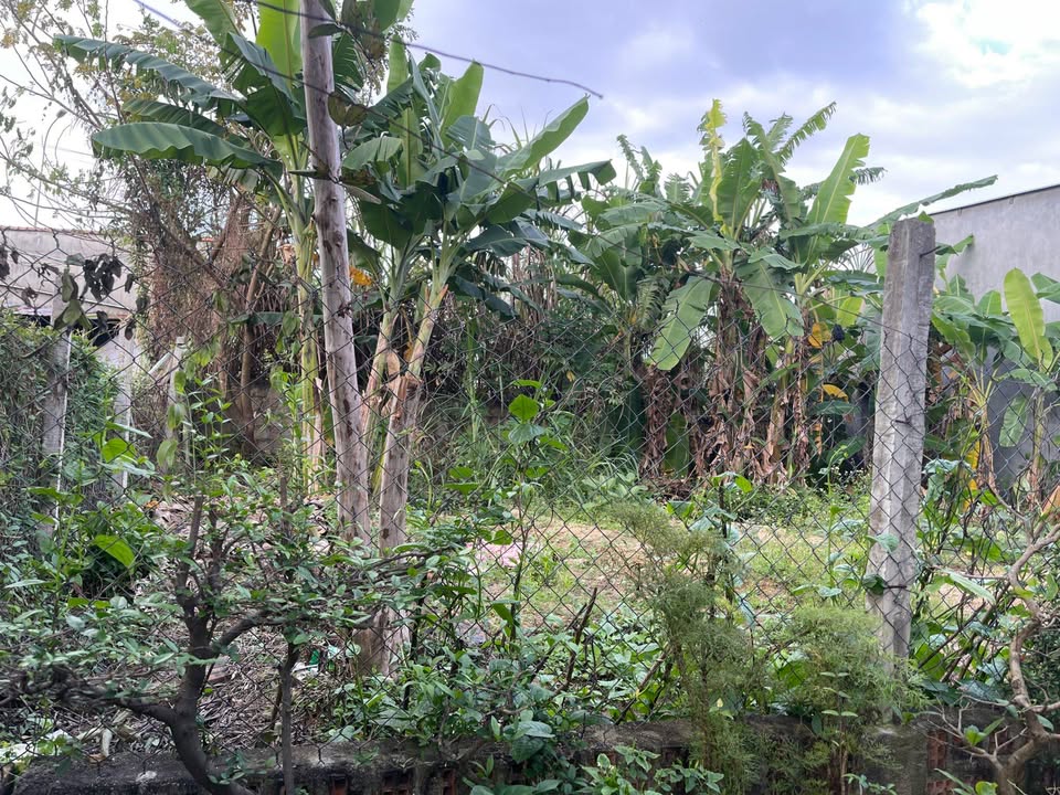 Đất nền Quy Nhơn 60m² 350 triệu - Tiềm năng tăng giá