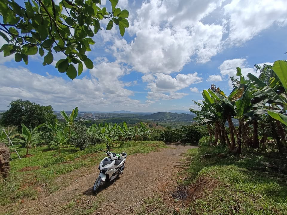 Đất nền Bảo Lộc Chi Lăng sổ đỏ chính chủ 1.465m² 2 tỷ