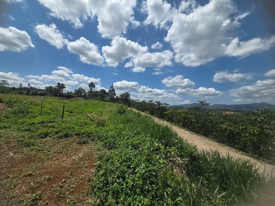 Đất Lộc Châu Bảo Lộc 416m² 2.55 tỷ - Sổ đỏ chính chủ