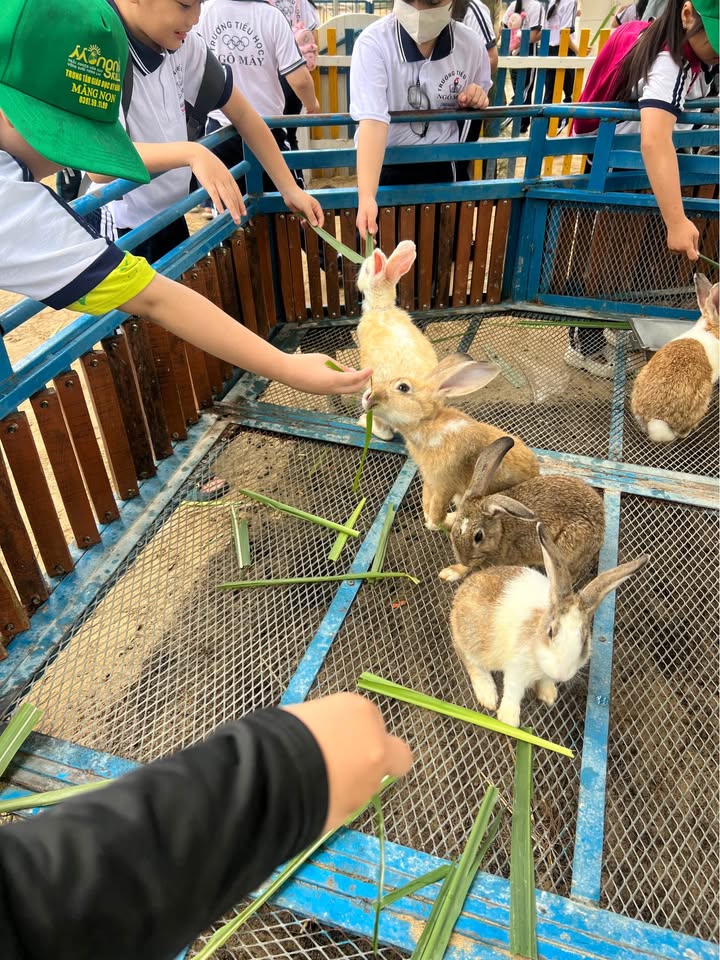 Nhà Nguyễn Thái Học Quy Nhơn 43m² 2.55 tỷ - Sẵn sàng ở ngay