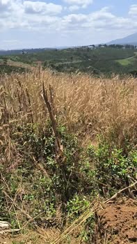 Đất nền Tân Hà Lâm Hà 1ha 3,9 tỷ - Sổ đỏ chính chủ