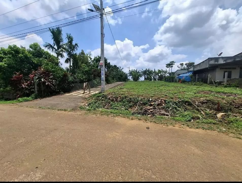 Đất nền Lộc Sơn Bảo Lộc 168m² 1.15 tỷ - Đất thổ cư 100%