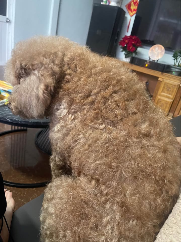 Nhà Cẩm Phả Lê Hồng Phong 44m² 4xx triệu - Chính chủ bán