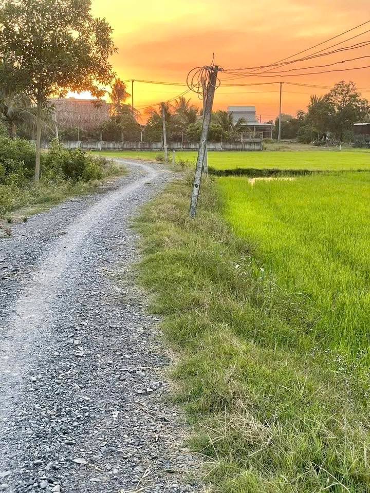 Đất nền Đức Hòa Đường Hồ Chí Minh 1.900m² 850 triệu - Sổ đỏ chính chủ