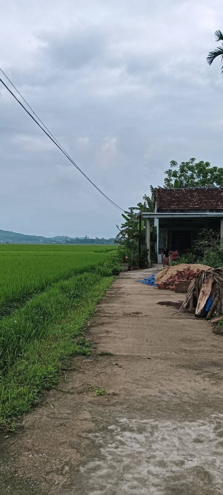 Đất Thôn Phước Tây 1.215m² giá 7xx triệu – Sổ đỏ chính chủ