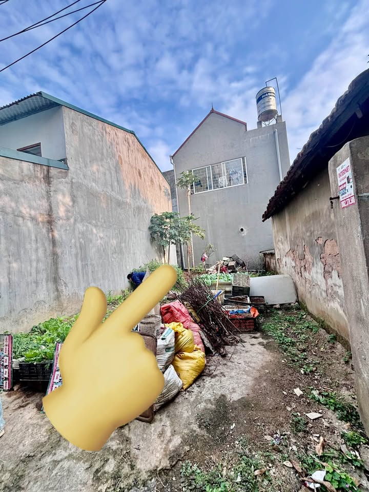 Đất nền Lạng Sơn Trần Đăng Ninh 44m² 650 triệu - Đường to ô tô