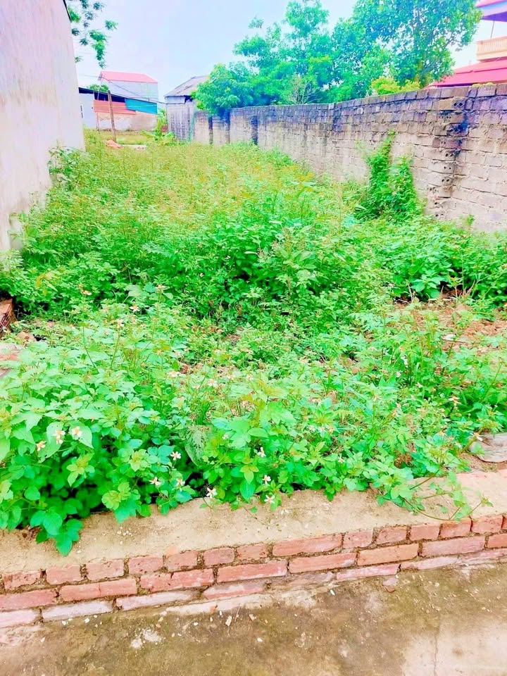 Đất nền Phường Phong Châu 76m² thỏa thuận - Sổ đỏ chính chủ