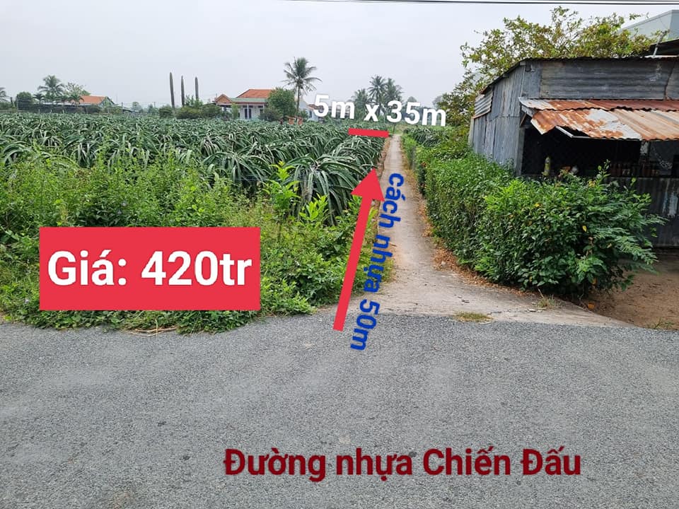 Đất nền An Lục Long 175m² 420 triệu - Tiềm năng tăng giá