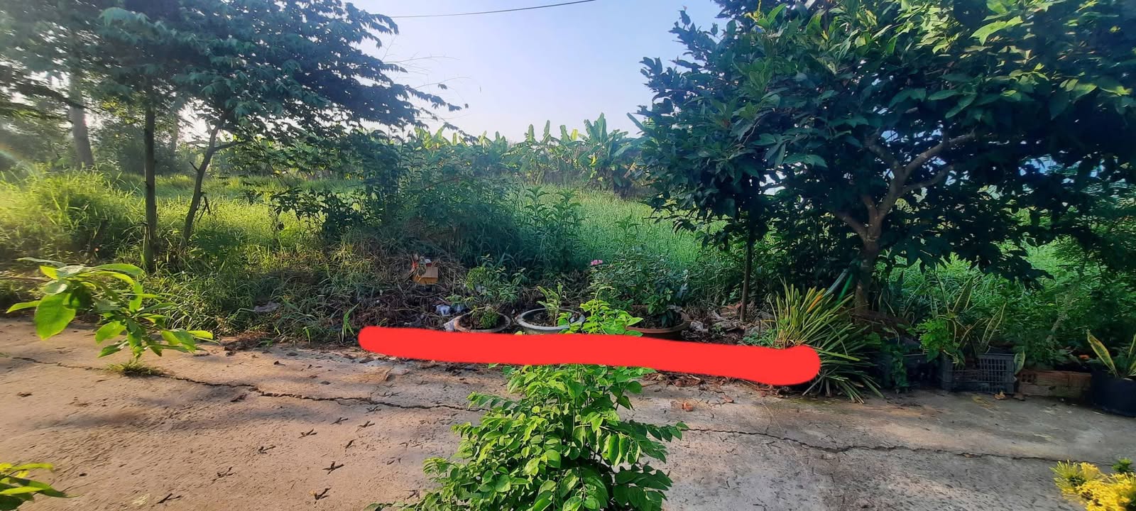 Đất nền P6 Tân An 123m² 770 triệu - Sổ đỏ chính chủ