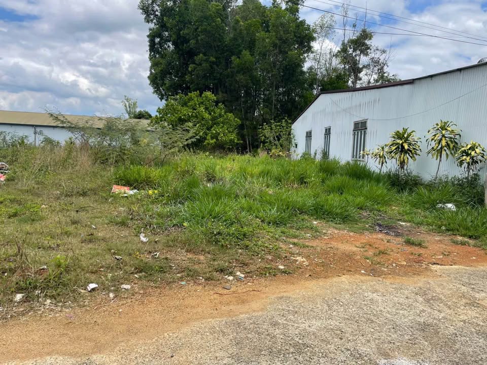 Đất nền Di Linh 300m² 1.5 tỷ - Sổ đỏ chính chủ