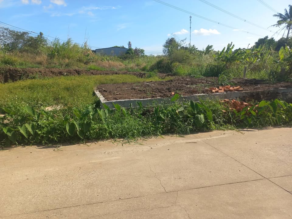 Đất nông nghiệp Buôn Ma Thuột 280m²/600-699 triệu Pháp lý rõ ràng