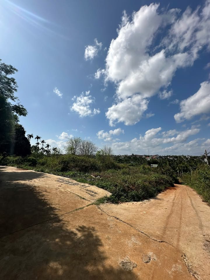 Đất nền Hẻm 19B Tân An 100m² 750 triệu - Sổ đỏ