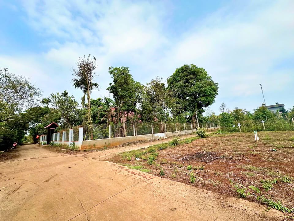 Đất liền kề Tân An Buôn Ma Thuột 100m² giá 1.6 tỷ - Sổ đỏ chính chủ