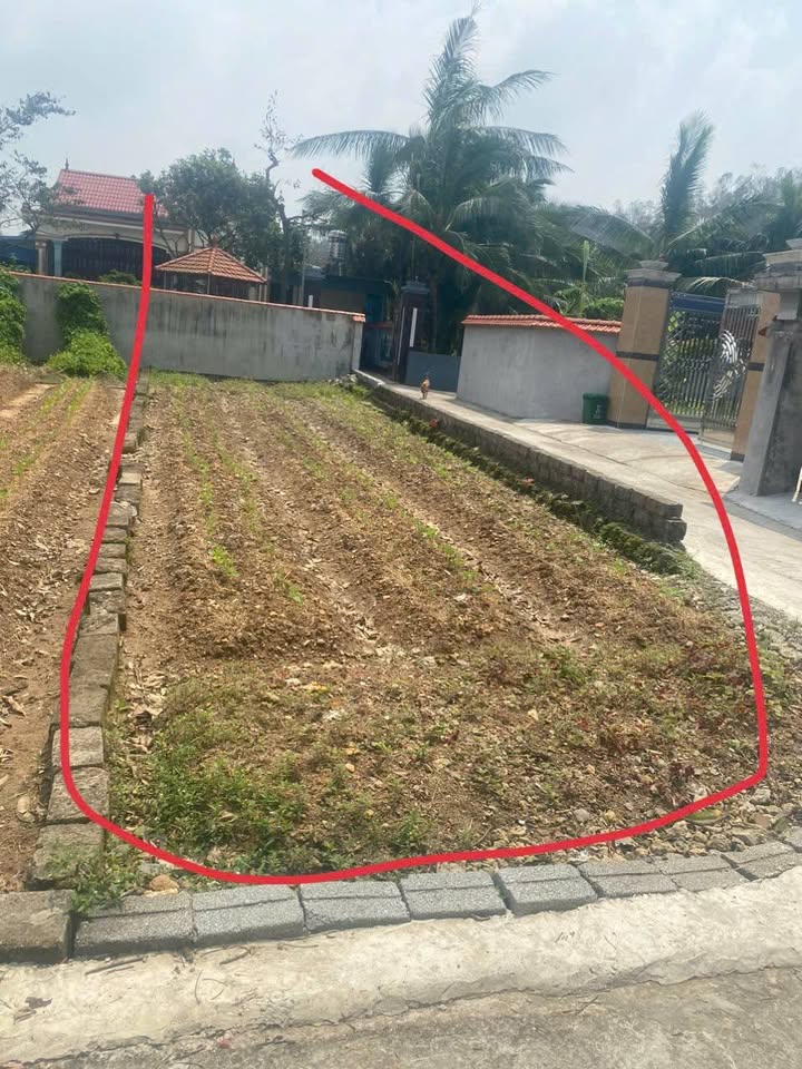 Đất An Lư Thủy Nguyên 95m² 600 triệu - Tiềm năng tăng giá
